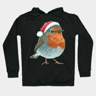 robin in winter had-bird robin. Hoodie